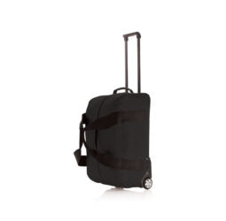Standard Weekend trolley Trolley Bag